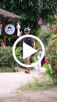 BIB:  <button type="button" onclick="openModal(26989501)" class="btn btn-primary btn-sm float-right" data-toggle="modal" data-target=".modal-high-quality">
                <i class="fa fa-download"></i> Download
                </button>